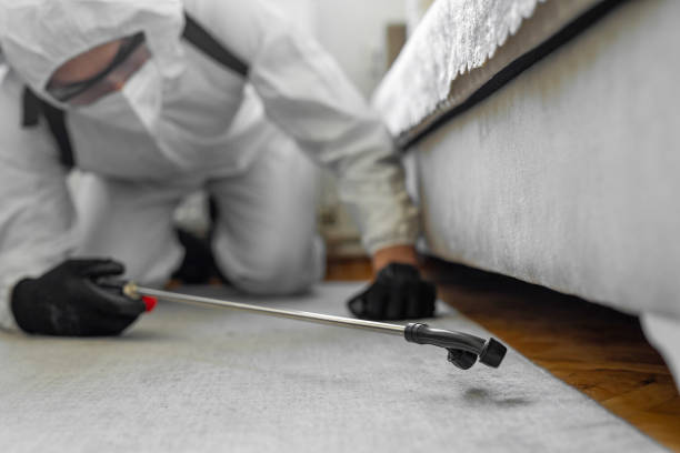 Professional Ant Control technician working in Poplar-Cotton Center, CA